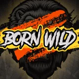 Bocoran RTP Slot Hackshaw Born Wild